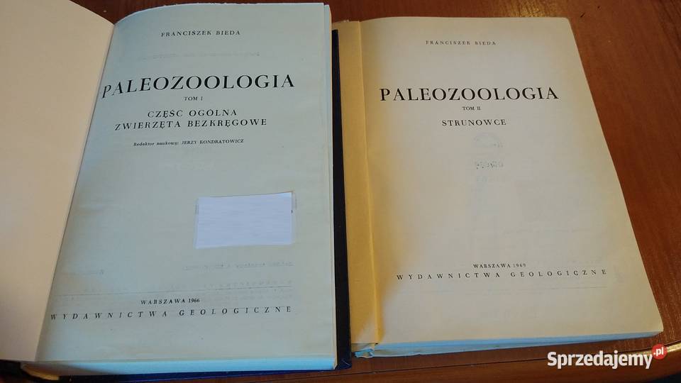 Paleozoologia Tom 12 Bezkręgowce i Strunowce