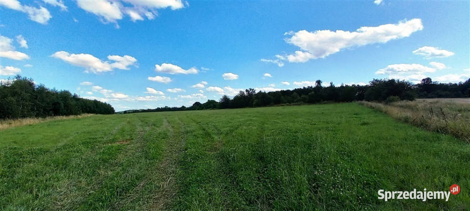 Działki w Cieszowie dolnośląskie Cieszów