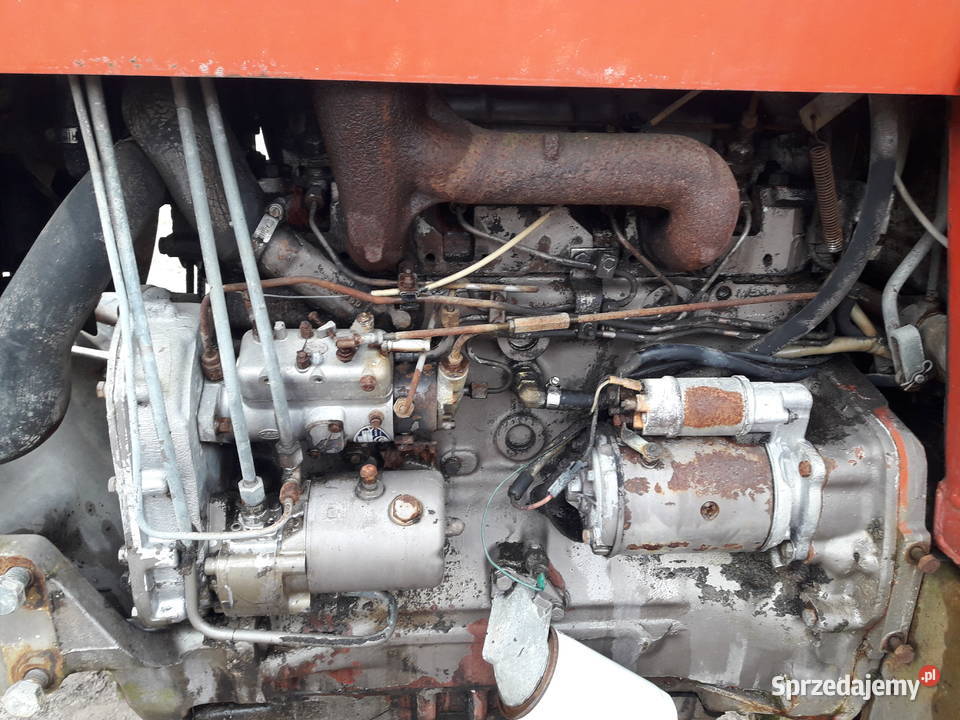 massey ferguson 595 łódzkie Warta sprzedam