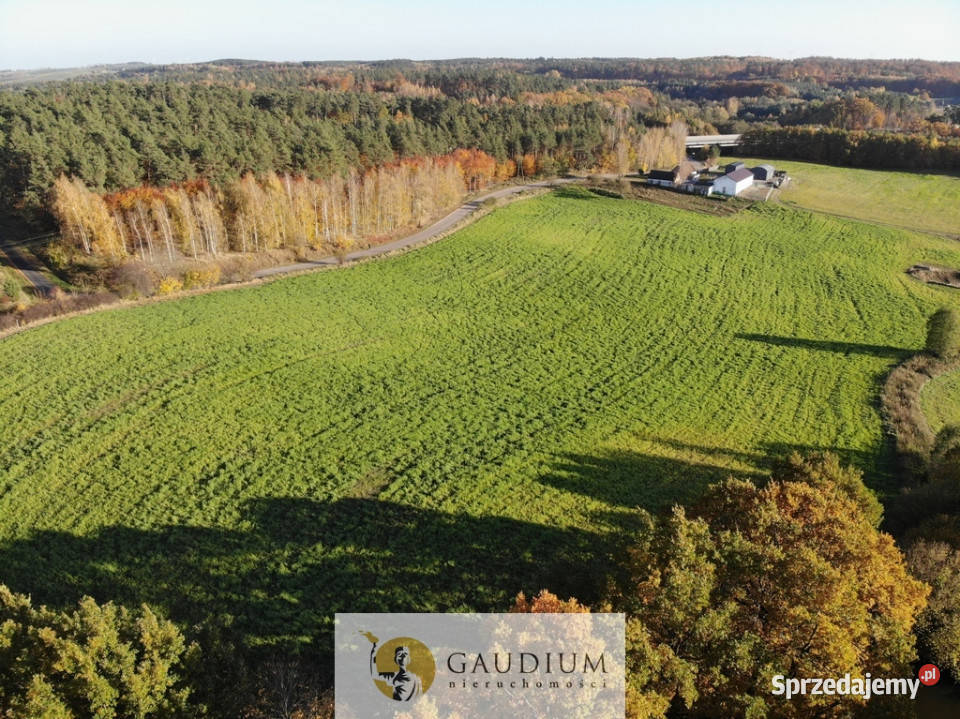 Działka przemysłowa 4000 m asfalt