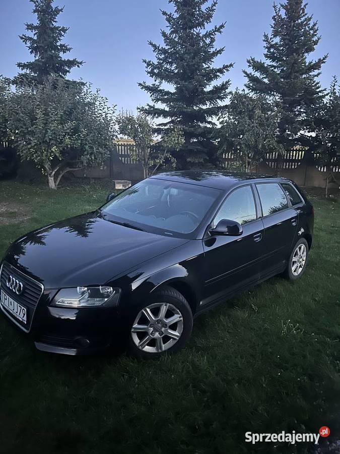 Audi a3 8p 19TDI Pińczów