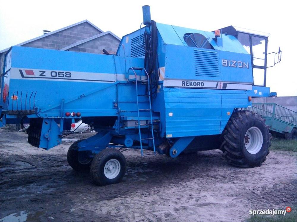 bizon rekord Daninów