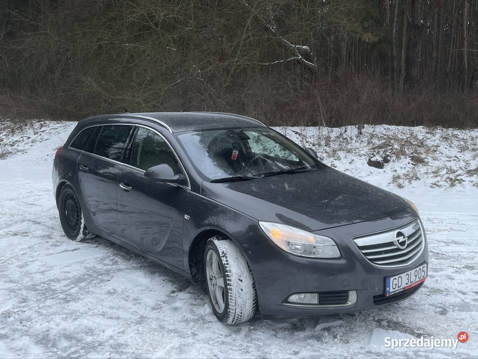 Opel Insignia 20cdti 130koni Poznań