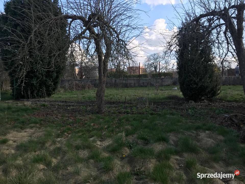 Działka ROD 695m RADUŃ Sprzedaż Wałcz