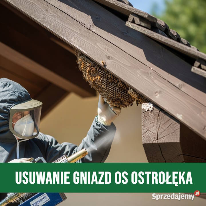 Zwalczanie Os Ostrołęka Usuwanie Gniazd mazowieckie