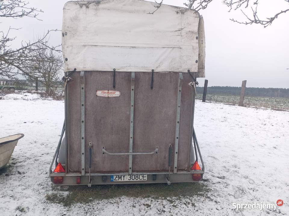Przyczepa do przewozu koni koniowuz zachodniopomorskie Myślibórz