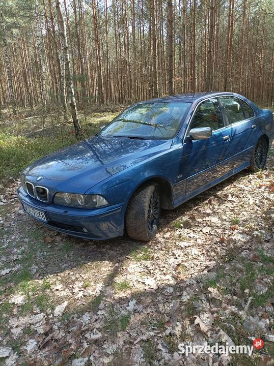 BMW W 39 25 benzynalpg Sierpc