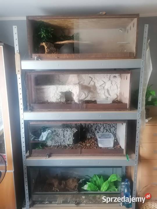 Terraria regał Witkowo