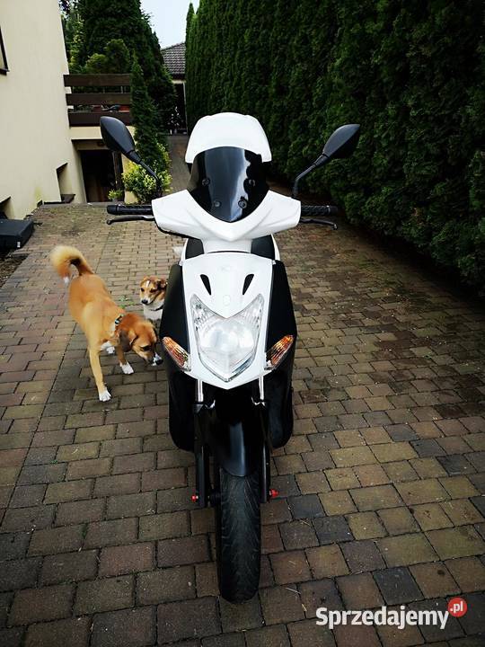 KYMCO AGILITY 15009ritalmotopila elektryczny starter Piła