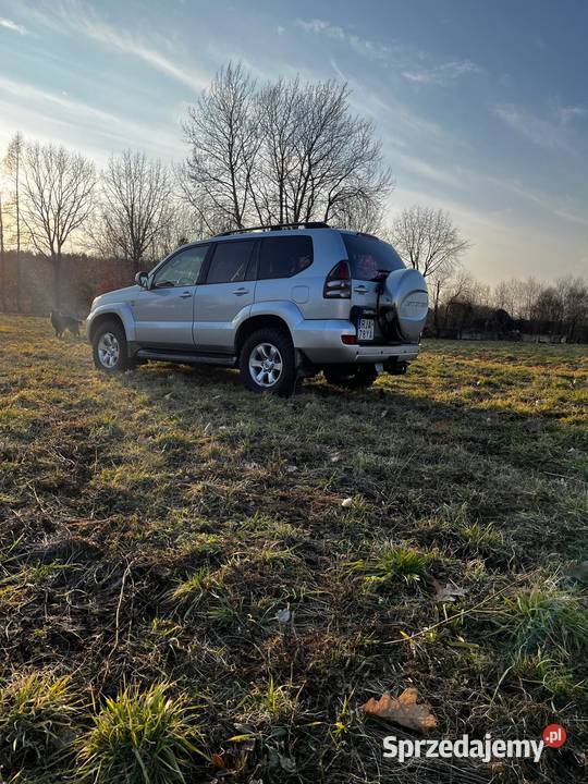 TOYOTA LAND CRUISER 120 PRADO światła przeciwmgielne Jarosław