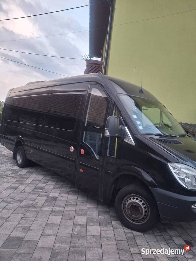 Bus Sprinter nieuszkodzony Zator