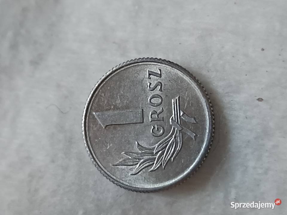 Sprzedam monetę 1 groszy 1949 Chełm