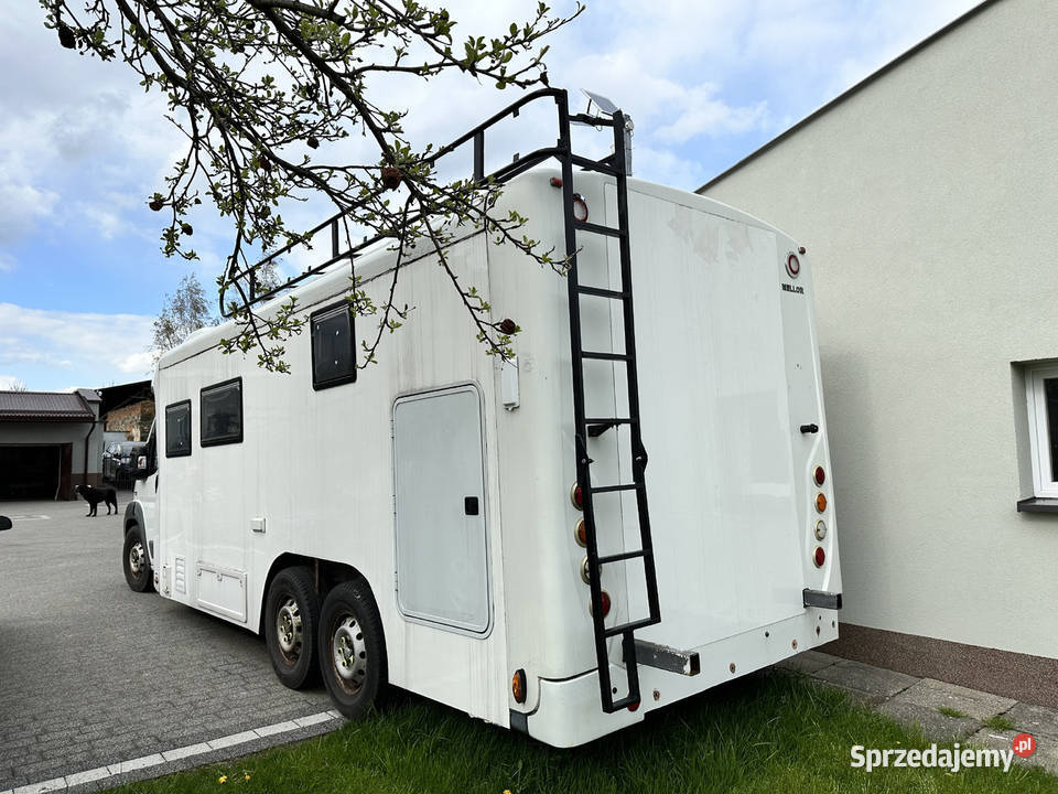 FIAT DUCATO PROJEKT LUKSUSOWEGO KAMPERA Katowice