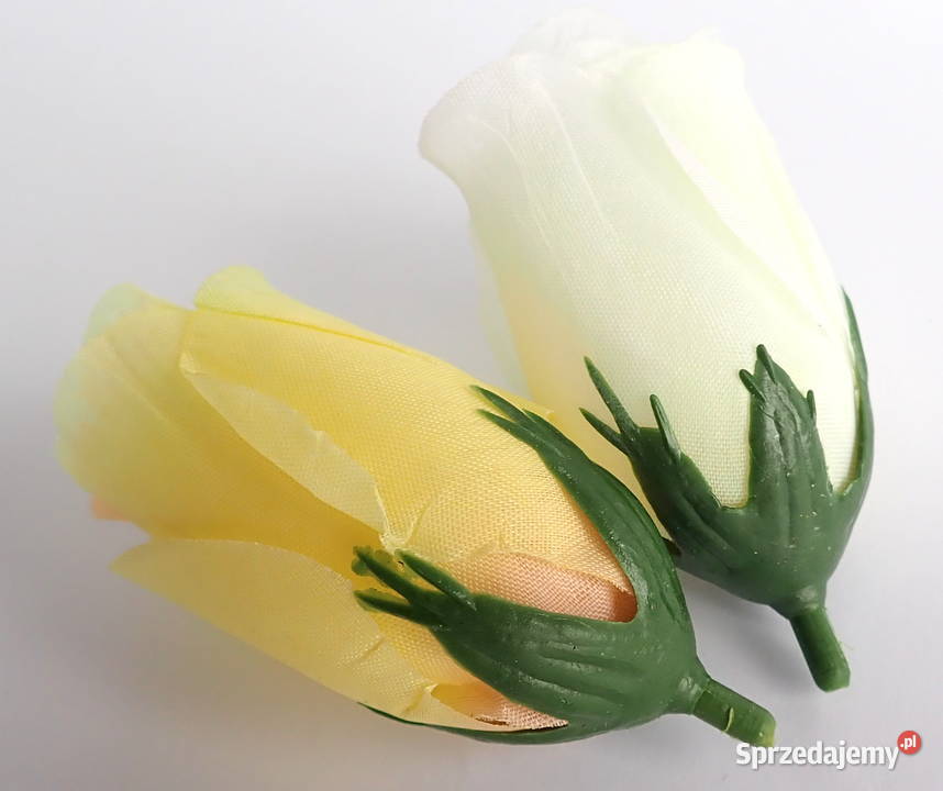 Róże w postaci pąków różne kolory średnica 45 Siewierz sprzedam