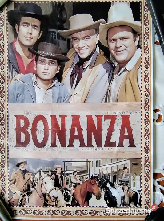 Obraz Bonanza Żory sprzedam