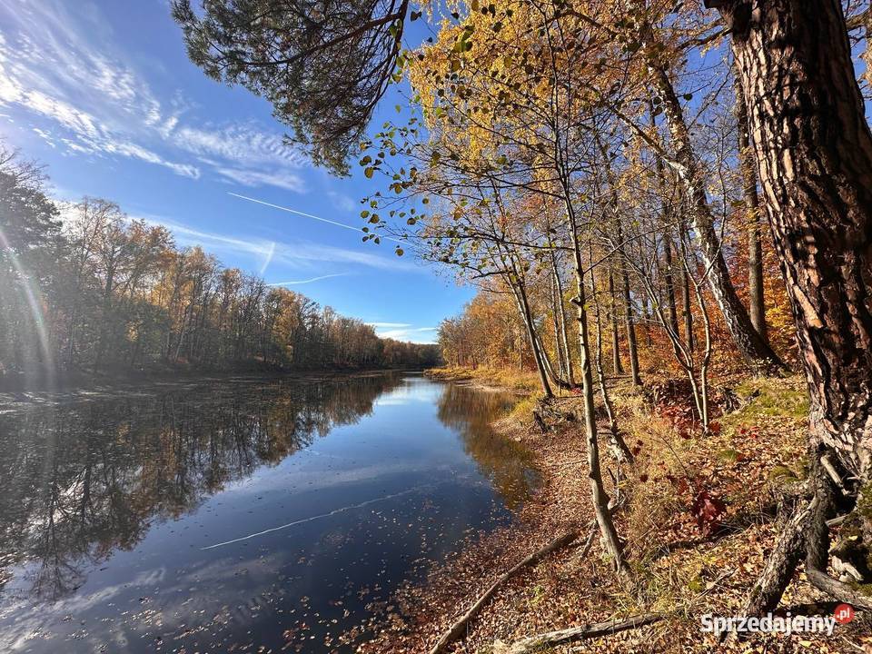 Działka budowlana kolorowe jeziorka Chełmica