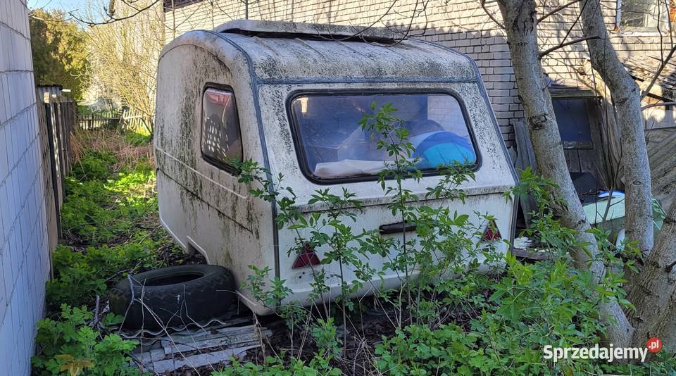 Przyczepa Kempingowa Niewiadów N126 Kraków