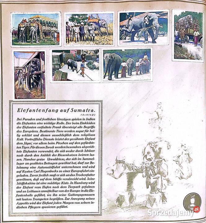 Allbum kolekcjonerski z 1929 r Mit Carl Konin