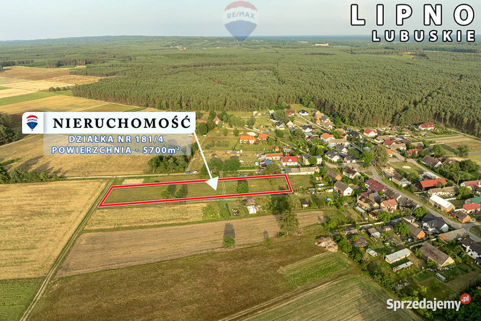 Na sprzedaż działka rolna 5700 m Lipno