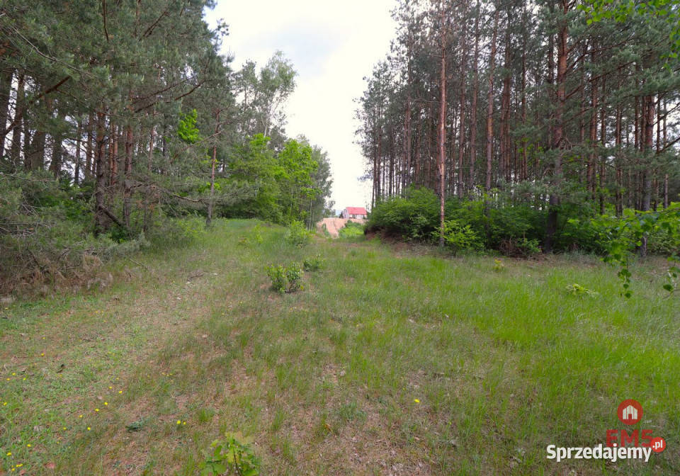 sprzedaży gruntu Płaska 1001 metrów podlaskie