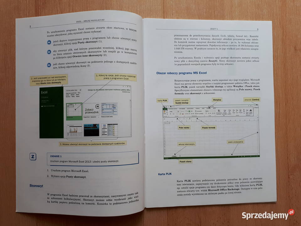 Excel Word PowerPoint i GIMP ESKK komplet internet, komputery Rybnik