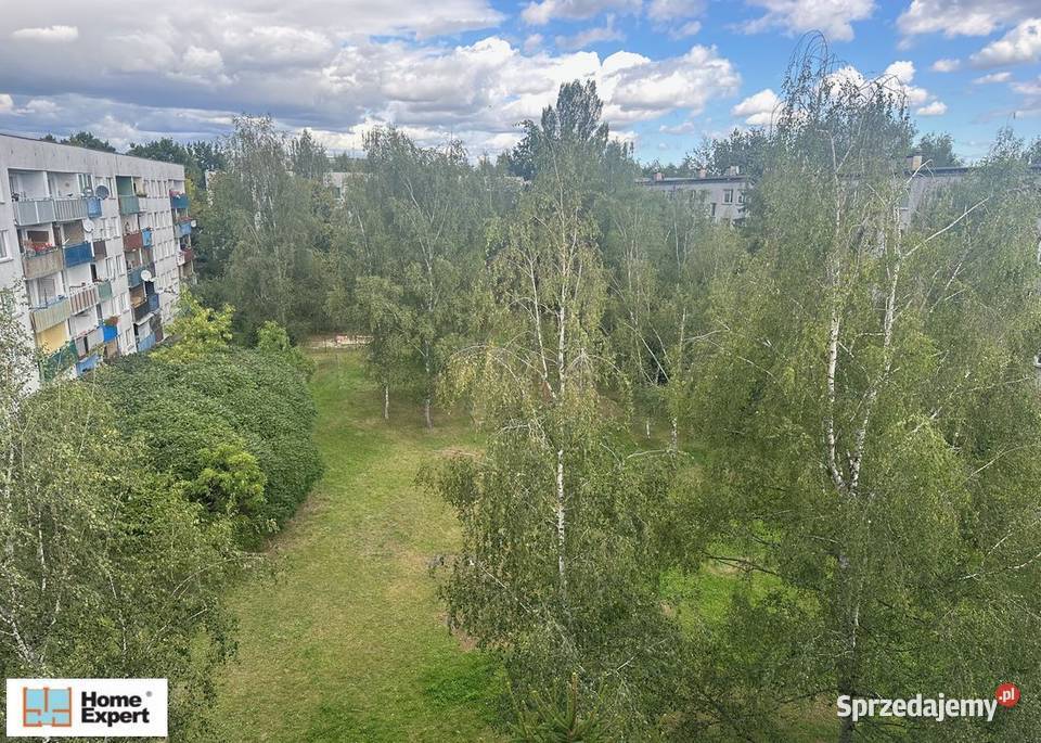 2pok 36met Królewskiej BALKONPIWNICA Wrocław parter dolnośląskie