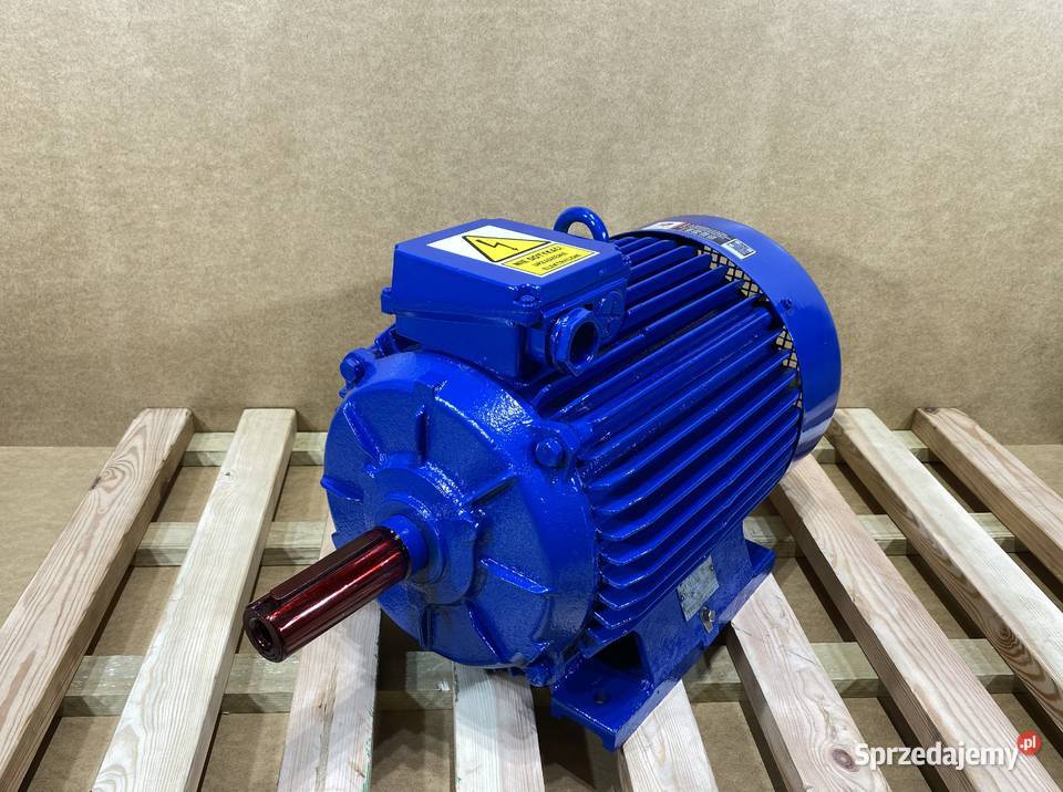 silnik elektryczny 185kW 2940obr 3fazowy INDUKTA Pigża