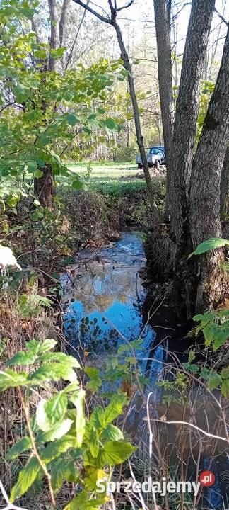 Dzialka lesna z dojazdami małopolskie Andrychów