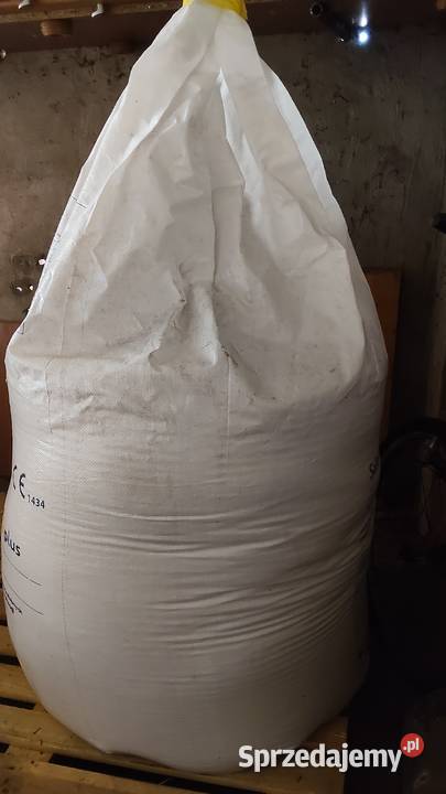 Pszenica Euforia zaprawiona do siewu Pozostałe Namysłów