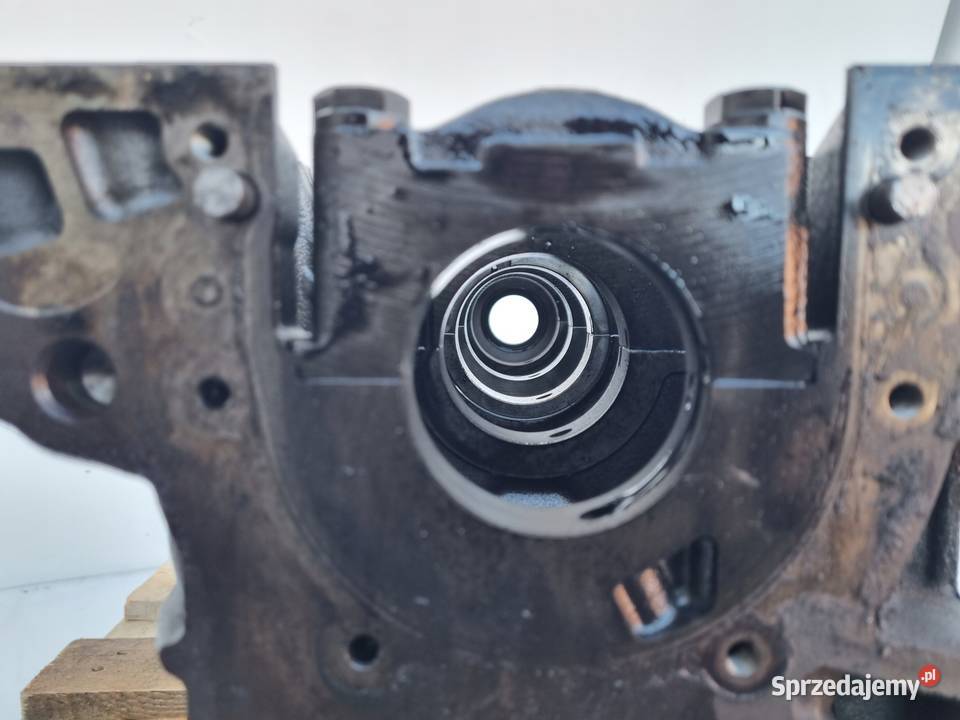 BLOK SILNIKA 16 TDI CAY VW Golf VI Passat B7 osobowe Rudka