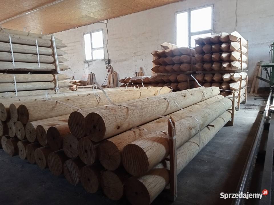 Palisada debowa podlaskie