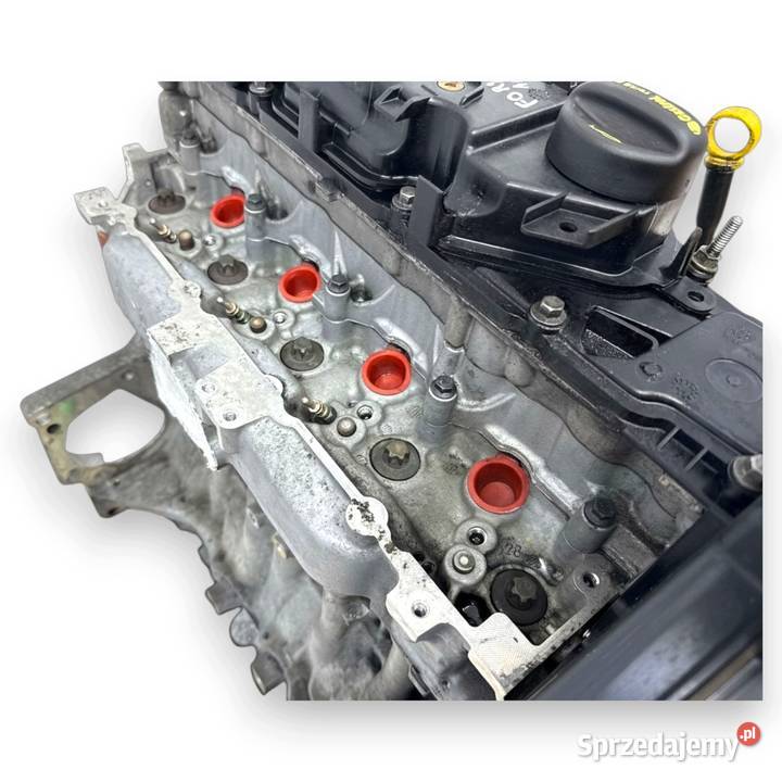 SILNIK T1DB Ford Focus III C C 16 TDCI 115 Silniki i osprzęt Chełm