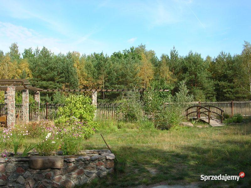 Drewnianomurowany dom Dzięciołkiem w bliskim sąs drewno Szynkarzyzna