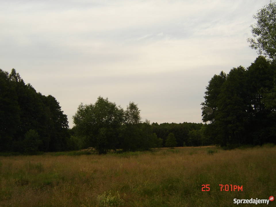 Działka rolnobudowlana 216 ha Młodzieszyn Młodzieszyn