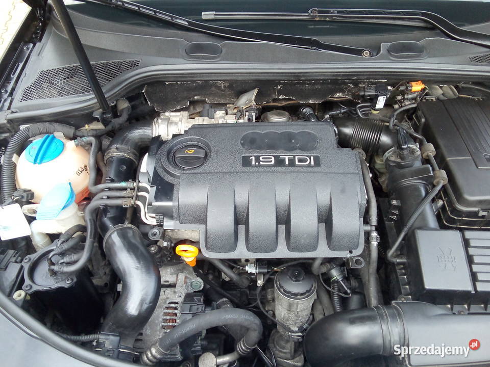 Audi A3 8P 19 TDI 105 Super Stan Zadbana Kielce