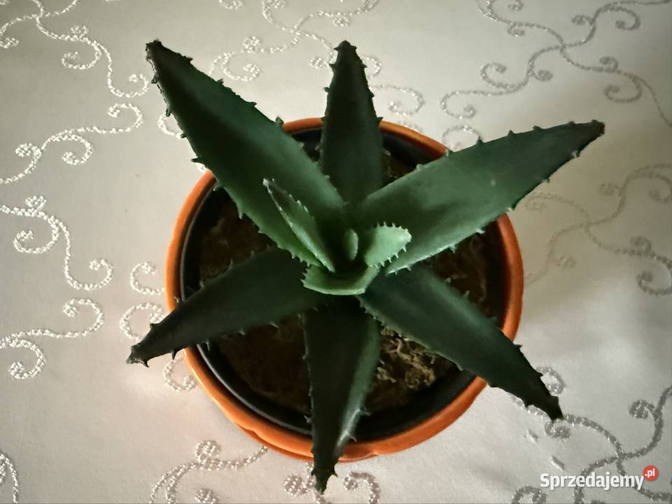 Osłonka Na Donicę Doniczka Donica ze Sztucznym Czerwionka-Leszczyny