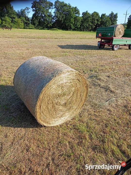 Siano ze zbioru drugiego pokosu małopolskie Wał-Ruda sprzedam