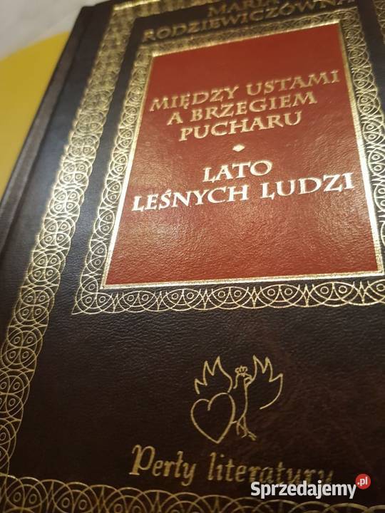 między ustami a brzegiem pucharu lato leśnych Kultura i Rozrywka Kielce sprzedam