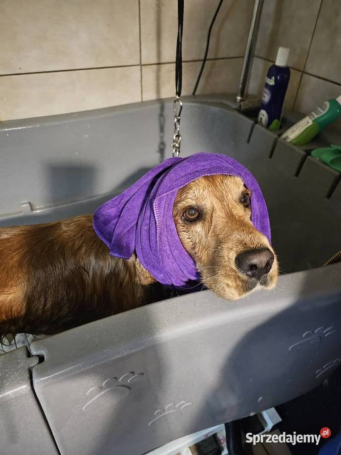 Salon groomerski psi fryzjer kąpiel strzyżenie Huta Mazowszańska