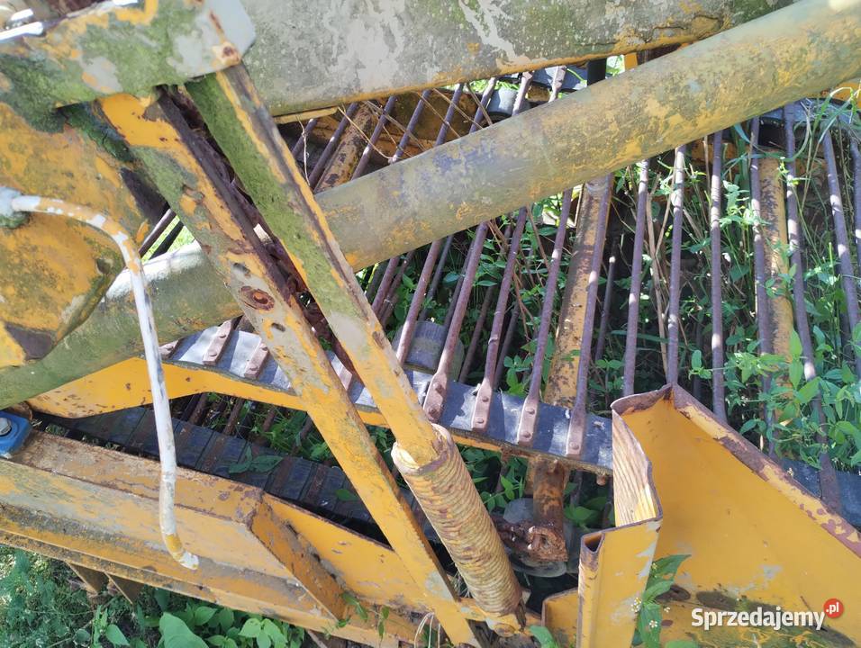 Kombajn do buraczków kujawsko-pomorskie Rucewo