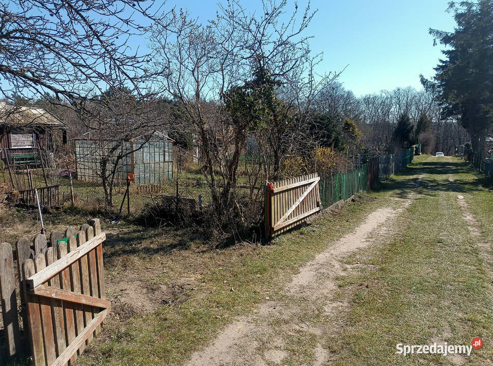 Działka ROD Przylesie obok Ikea 293m2 Sprzedaż Gdańsk