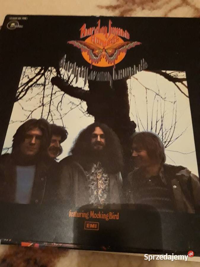 Płyty winylowe Kansas Live The Who The Animals Rzeszów sprzedam