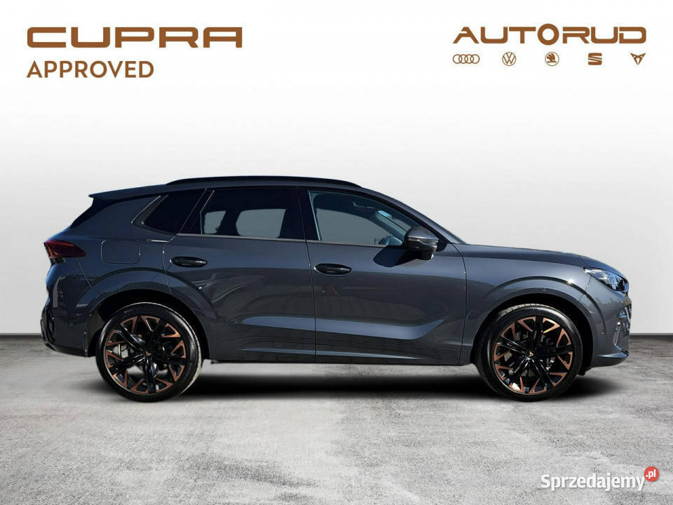 Cupra Terramar 20TSI 204 DSG 4x4 2025 1WŁ Salon aluminiowe felgi Kielce