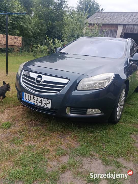 Opel Insignia 20 TDCi 160 Parczew