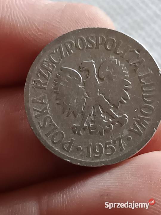 Sprzedam monete 50 groszy 1957 llll Chełm