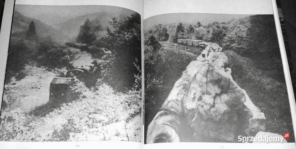 W głąb lasu Las w polskiej literaturze i sztuce lubelskie Chełm