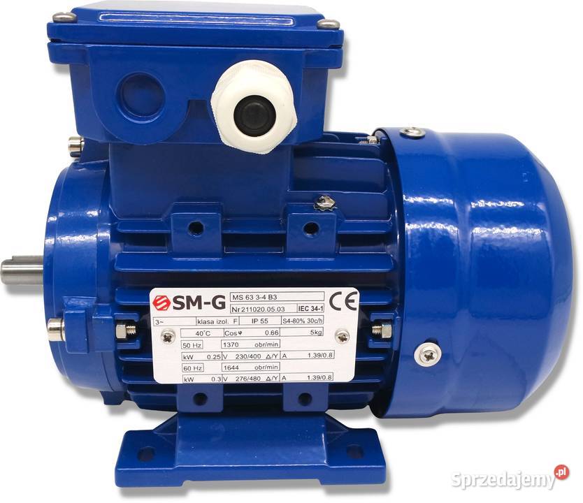 Silnik Łapowy B3 025kW 400V 1370 obr W11 3FAZOWY Solec Kujawski