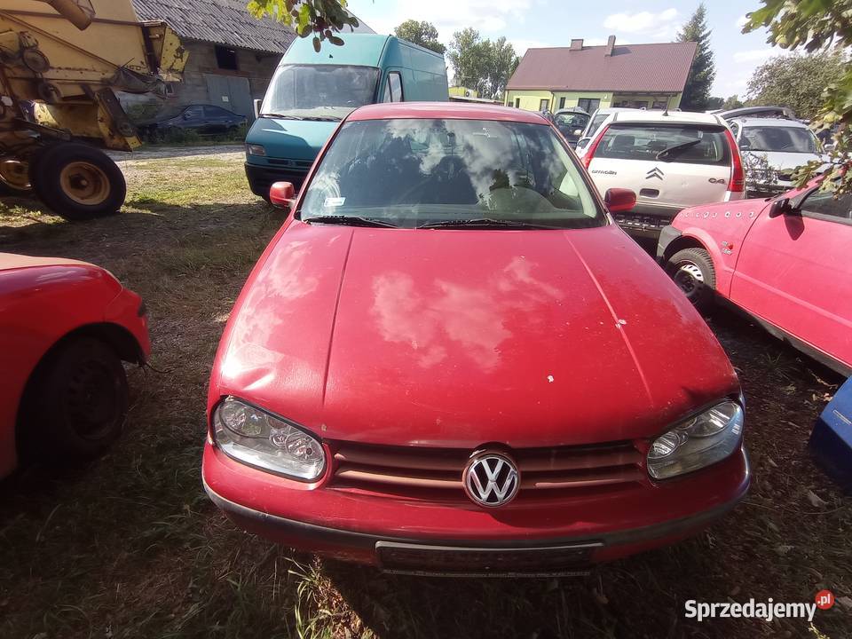 Volkswagen Golf IV 16 77 kW 2002 r dawca części Szklarka Myślniewska