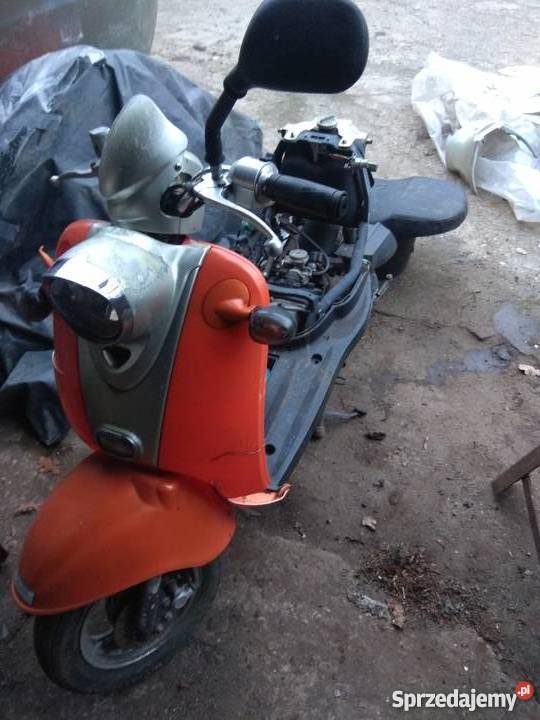 Giantco Venus Pozostałe Bytom Odrzański