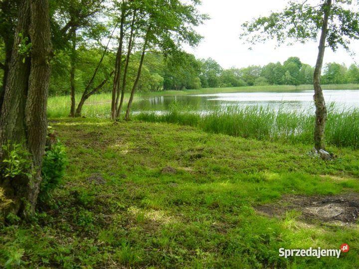 działkę rekreacyjnobudowlaną JEZIOREM 099 ha we 9900m2 zachodniopomorskie Rydzewo